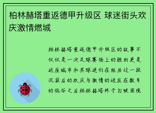 柏林赫塔重返德甲升级区 球迷街头欢庆激情燃城 柏林赫塔重返德甲升级区 球迷街头欢庆激情燃城
